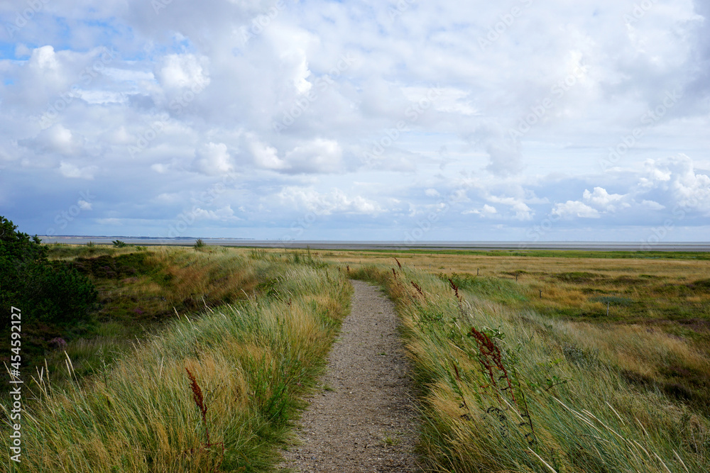 schmaler Weg durch die Dünen Landschaft auf der Insel Römö in Dänemark schmaler Weg durch die Dünen Landschaft auf der Insel Römö in Dänemark