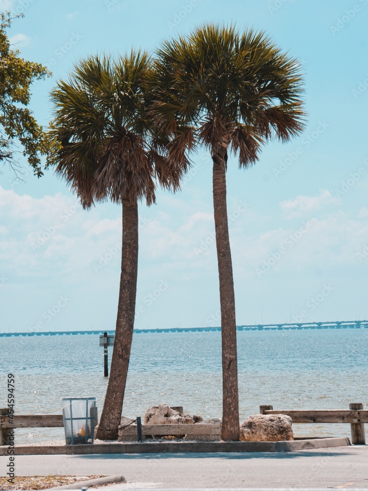 Ben T Davis Beach To University Of South Florida Hot Sale