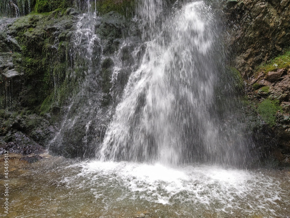 Fototapeta premium NatureBoy. Pure Nature