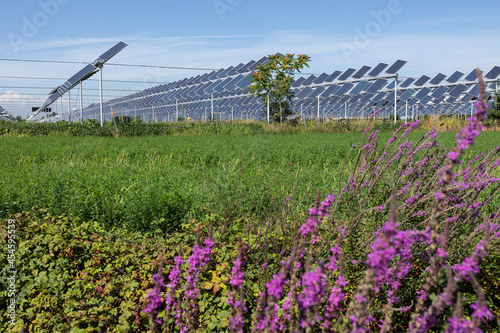 Agrivoltaic