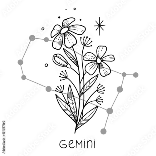 Gemini horoscope flower icon outline vector. Zodiac sign astrology