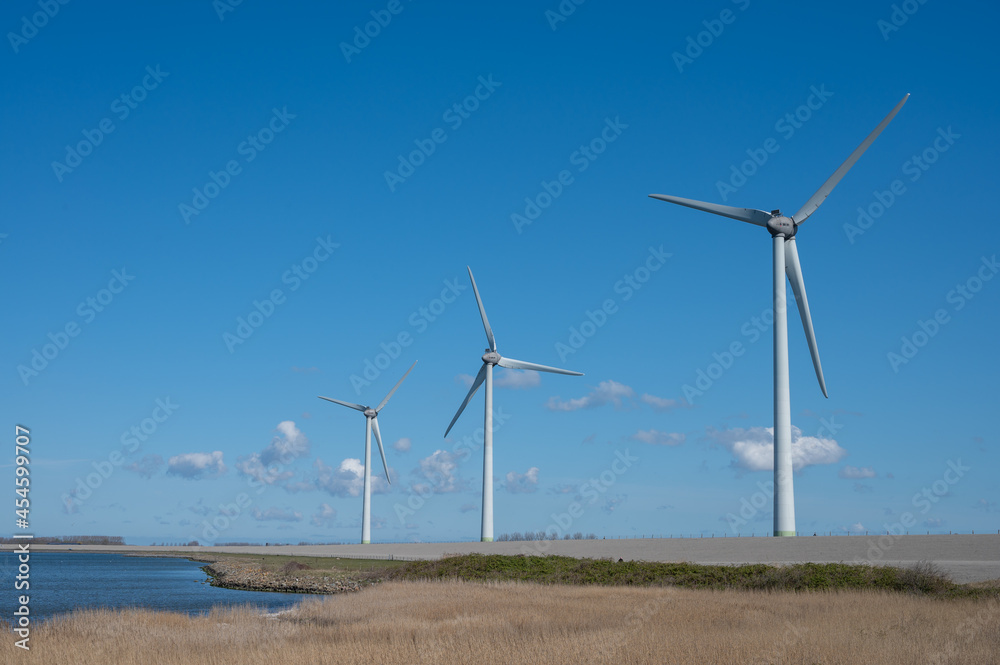 Dutch landscape, windmills in Zeeland, birdswatching and coliny of pink flamingos on Grevelingenmeer, Netherlands