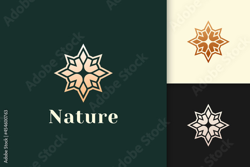Compass logo in modern and luxury style with gold color
