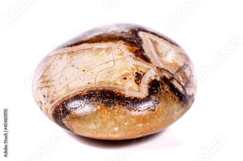 Macro mineral stone Simbirzit and Septaria on white background photo