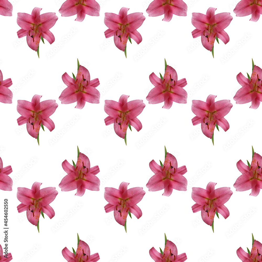 Seamless pattern of Lily flowers isolated on white