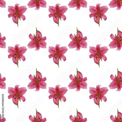 Seamless pattern of Lily flowers isolated on white © Светлана Качанова