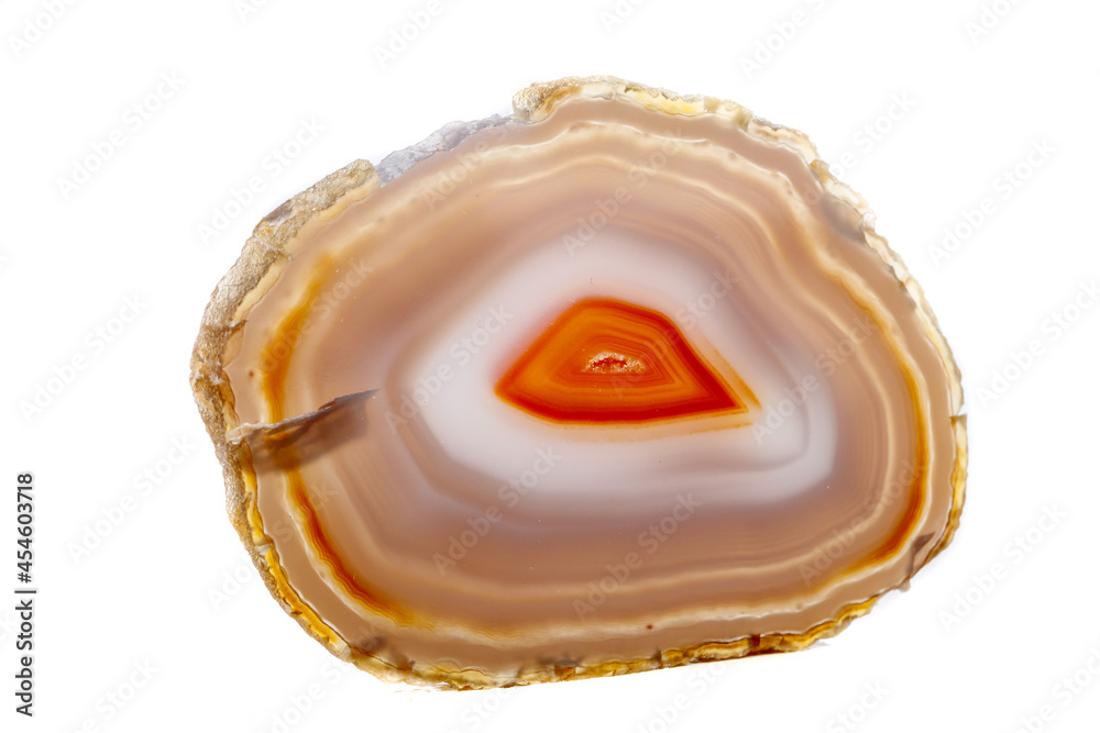 Macro mineral stone Yellow, brown Agate breed a white background Macro mineral stone Yellow, brown Agate breed a white background