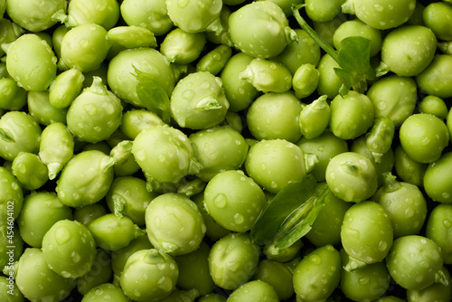 Green Peas background texture vegetable, Closeup, copy space, top view
