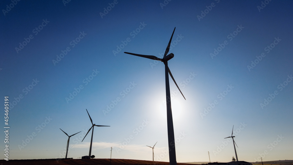 Landscape of a field surrounded by windmills under the sunlight and a blue sky in the countryside

