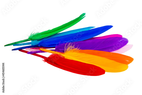 Multicolor feathers isolated on the white background