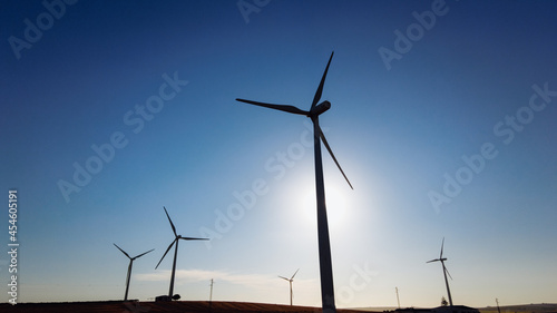 Landscape of a field surrounded by windmills under the sunlight and a blue sky in the countryside
