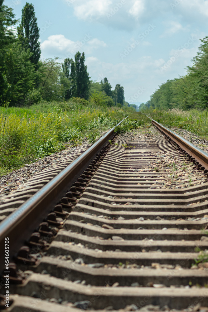 The rails with concrete sleepers go far into the green grass. The railroad line runs between the trees. In the background is a blue sky. The concept of railroading.