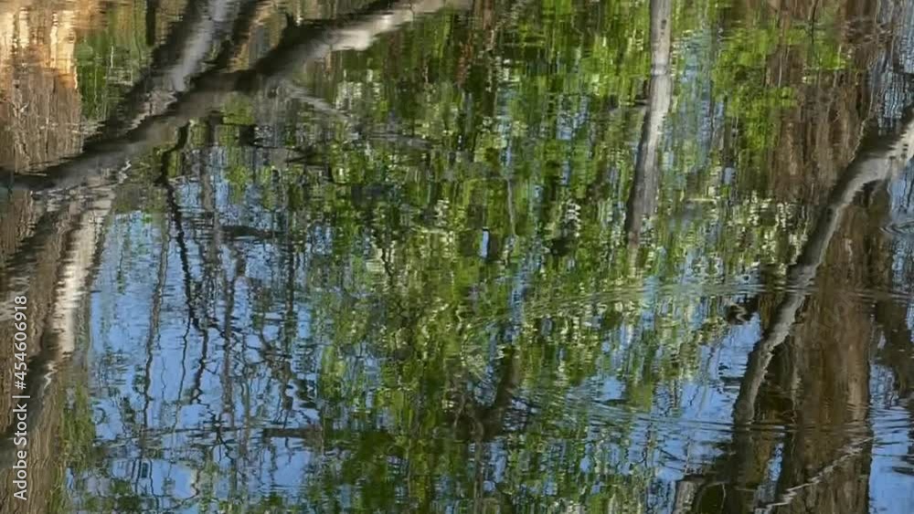 Reflections on water ripples in a spring pond Reflections on water ripples in a spring pond