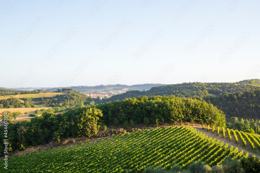 Toscana , campagna toscana vigneti e colline 