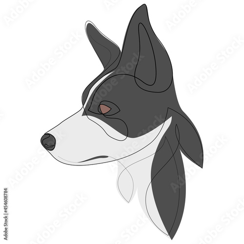 Grey Border Collie vector dog portrait. Continuous line. Dog line drawing with colour.