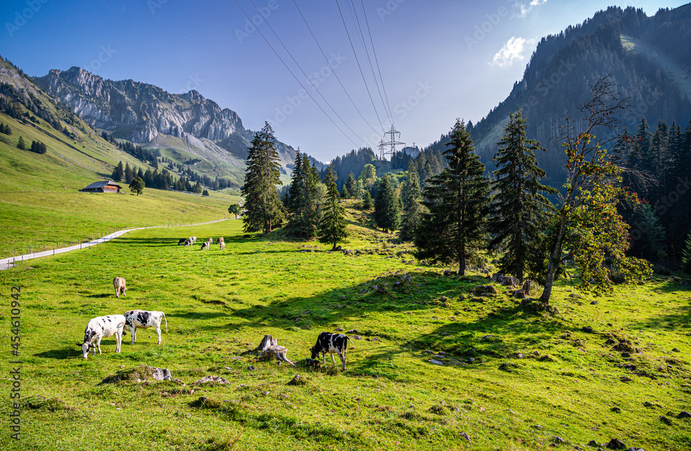 Landscape view of a valley in the district Gruyère of the municipality Jaun, canton of Fribourg, Switzerland