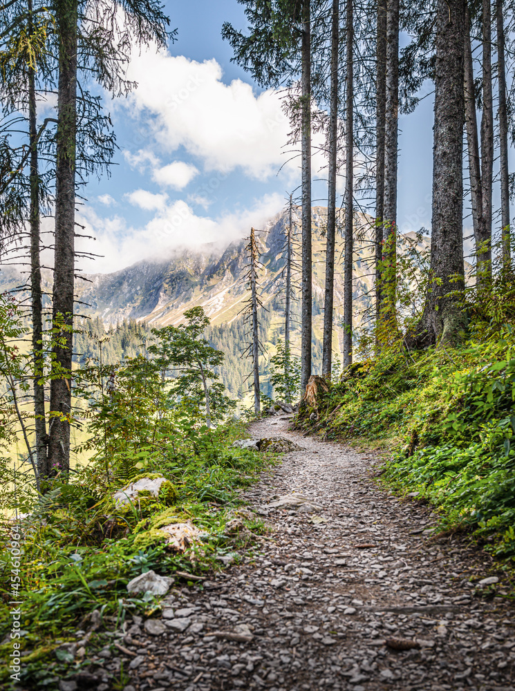 Obraz premium One of hiking trails in the district Gruyère of the municipality Jaun, canton of Fribourg, Switzerland
