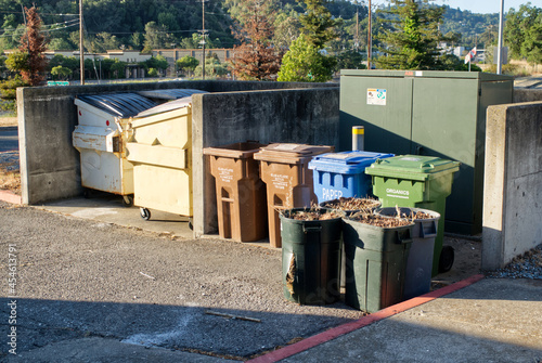 Trash bins and dumpsters. © Kirk