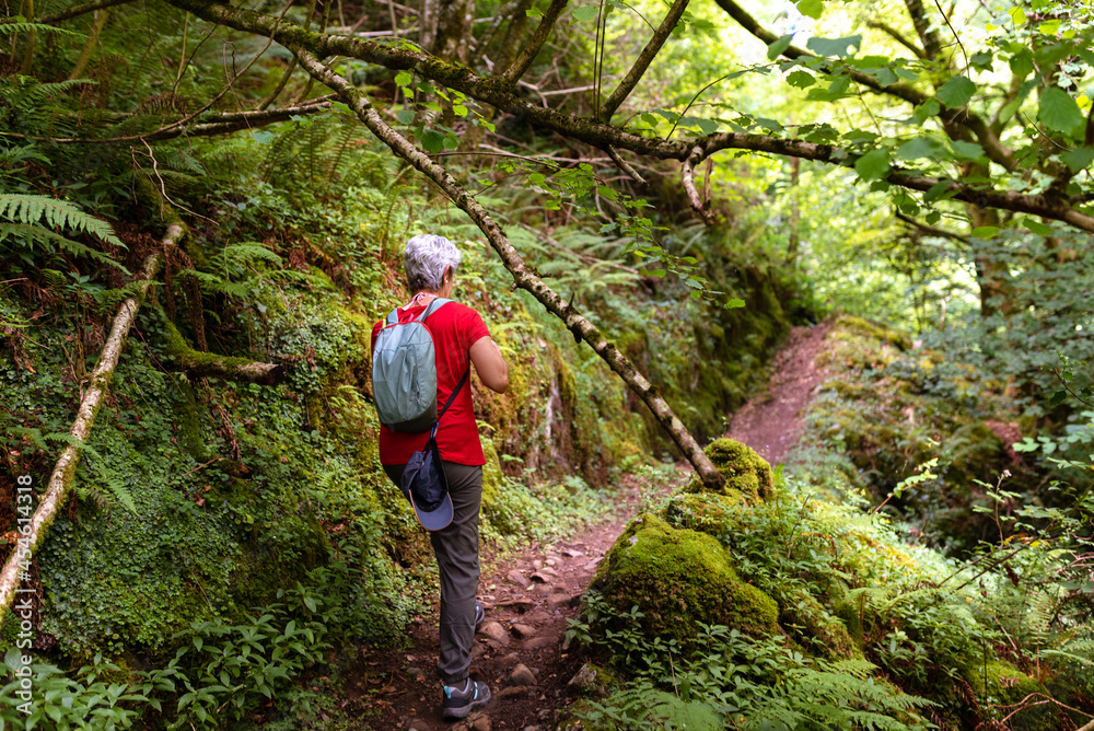 old woman with gray hair hiking in the woods. old woman with gray hair hiking in the woods.