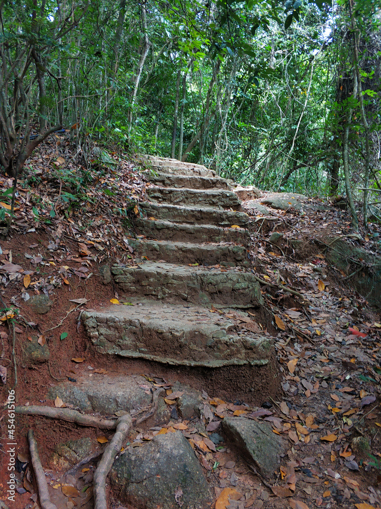 Steps made of stones in the jungle. Hiking trail for tourists Steps made of stones in the jungle. Hiking trail for tourists