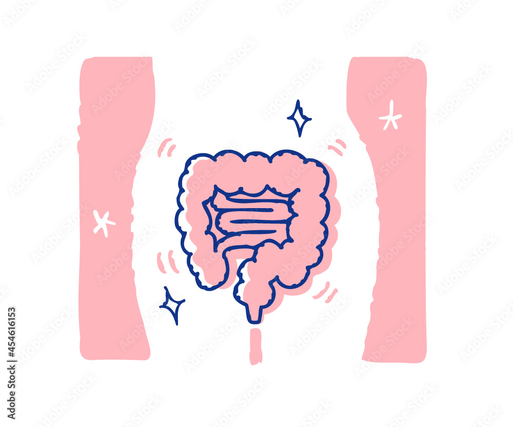 健康的な腸のイメージ