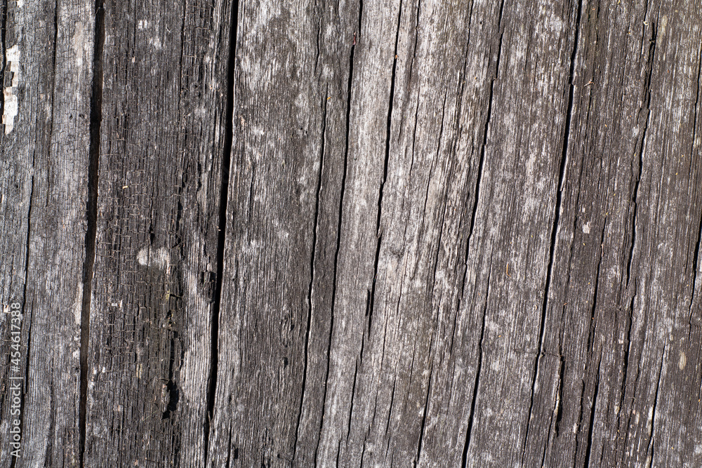 A beautiful surface made of old vertical planks of gray weathered color. Vintage rustic background. A beautiful surface made of old vertical planks of gray weathered color. Vintage rustic background.