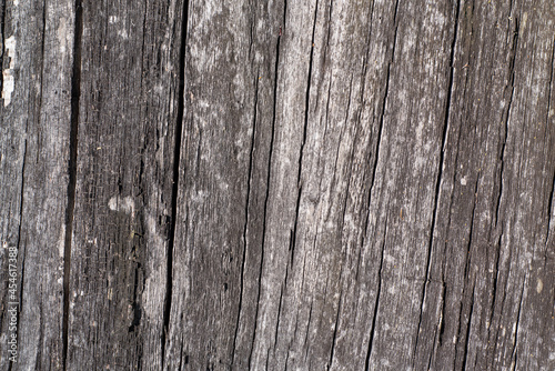 Wallpaper Mural A beautiful surface made of old vertical planks of gray weathered color. Vintage rustic background. Torontodigital.ca