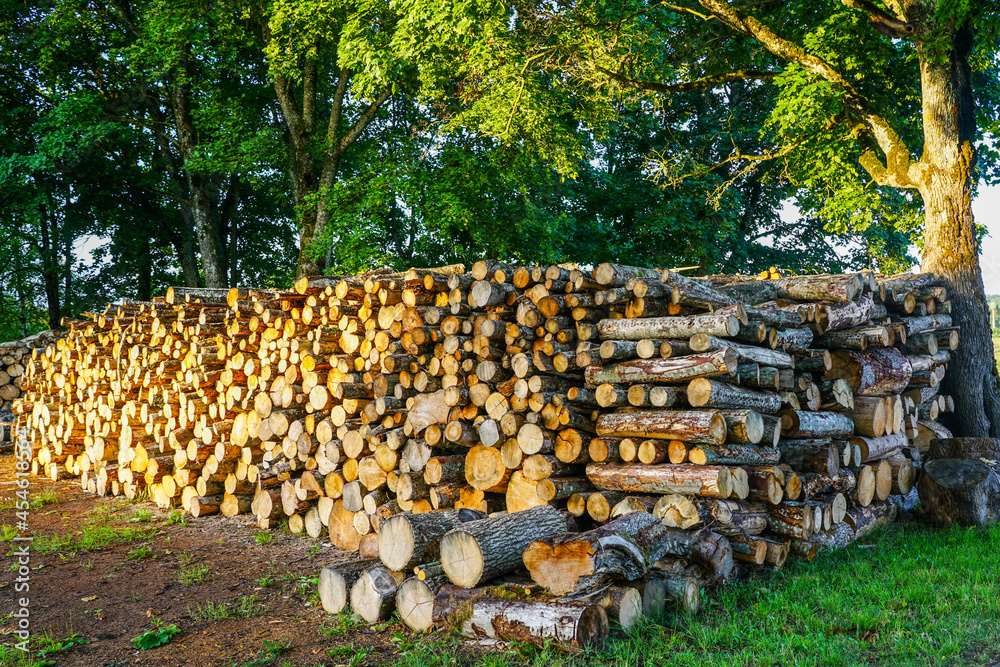 a large pile of firewood under the open sky