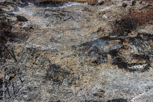 Burnt-out land, plants and garbage after a fire. The concept of environmental pollution. The ashes after the fire. photo