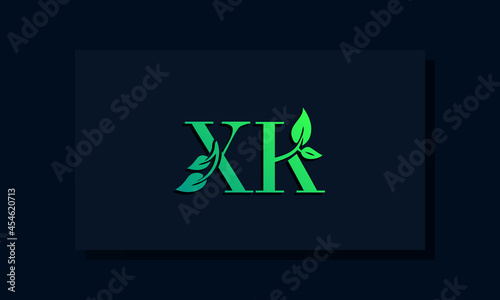 Minimal leaf style Initial XK logo