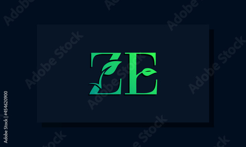 Minimal leaf style Initial ZE logo