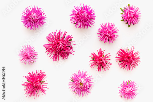 Asters on a white background. Pink flowers on a white background. Rose petals. 