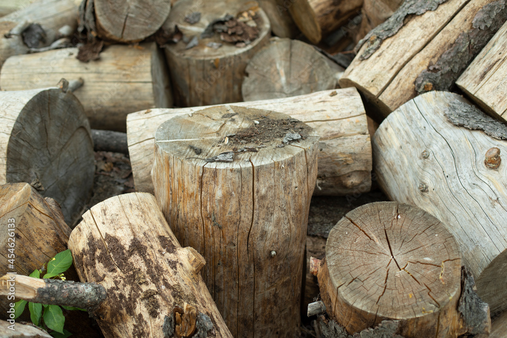 Tree stumps for preparation of cutting firewood. The stumps of the tree trunk are harvested on the street.