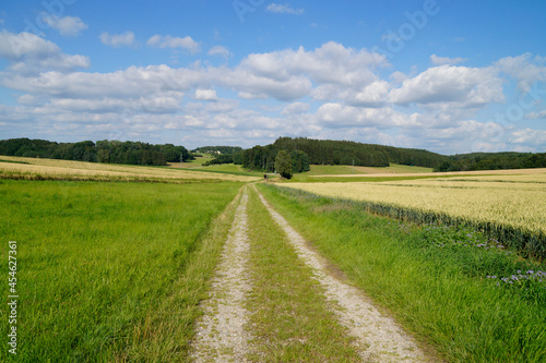 endless road leading through the green fields of the Bavarian countryside by the Birkach village on a sunny summer day with fluffy white clouds (Birkach, Bavaria, Germany)