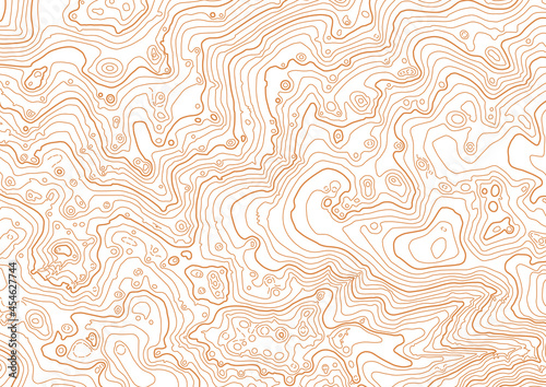 Abstract vector topographic map on white background