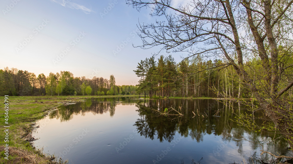 Picturesque landscape spring evening. The river overflowed in the spring. Young greenery on trees and ground.