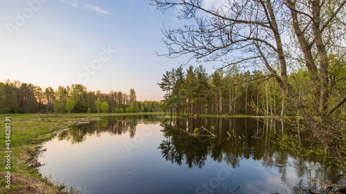 Picturesque landscape spring evening. The river overflowed in the spring. Young greenery on trees and ground. © Sergei