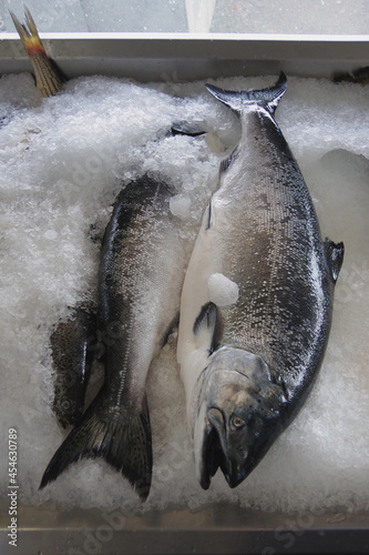 Fresh salmon and other fish displayed on ice at a fish market