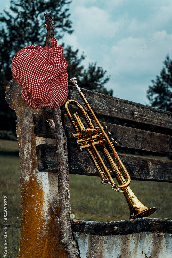 Fototapeta premium Traveling Jazz Trumpet Musician