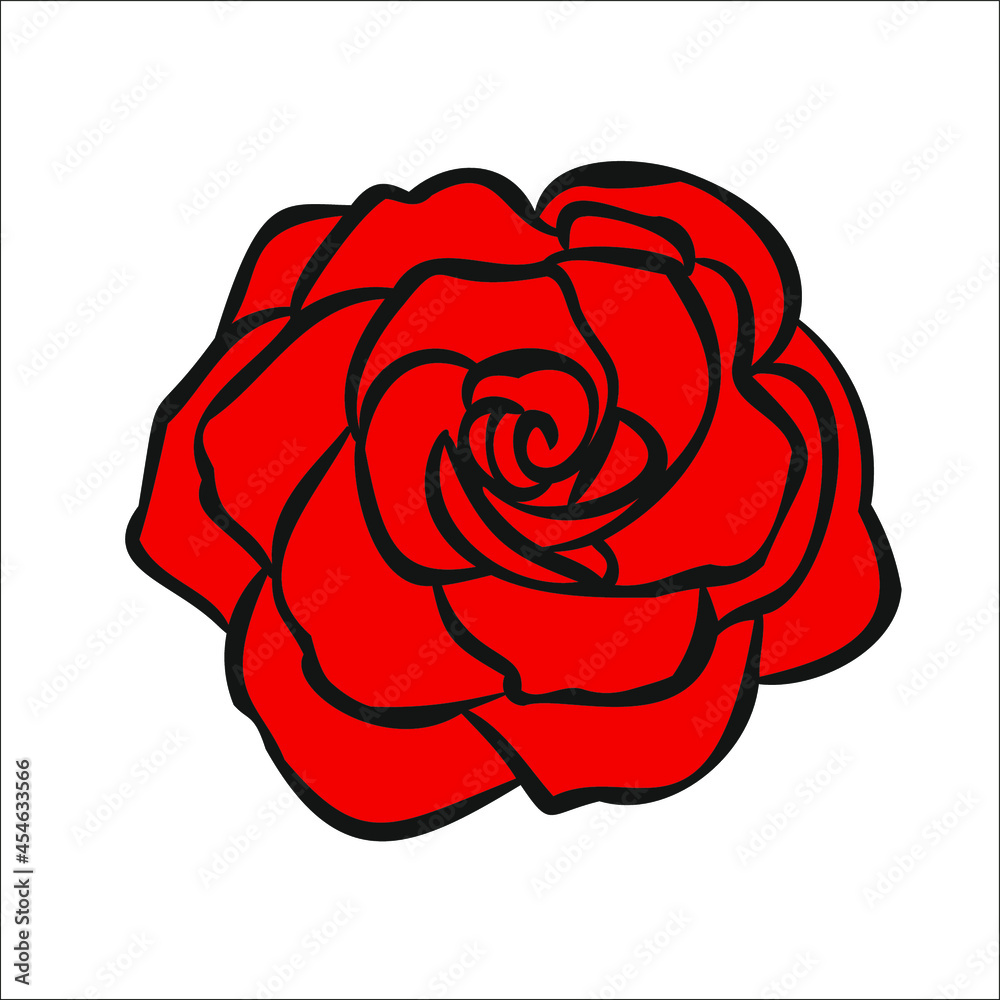 Red rose flower head isolate on white background Red rose flower head isolate on white background