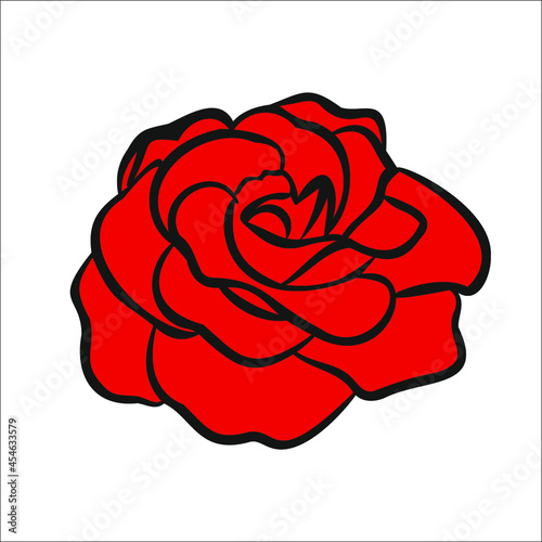 Rose flower head isolate on white background