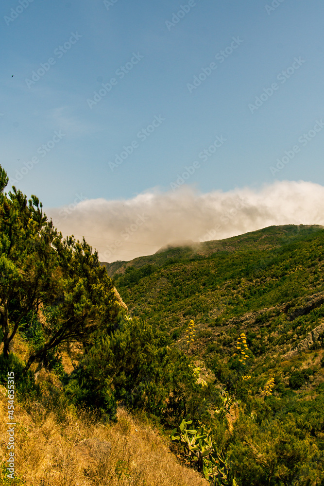 Paisaje en Teno Alto, isla de Tenerife