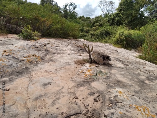 Paisagem formada por afloramento rochoso de Arenito na Caatinga, Bahia, Nordeste do Brasil