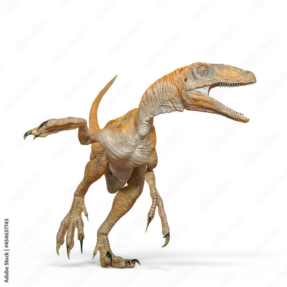 Naklejka premium deinonychus is turning left