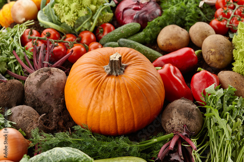 Fresh harvested organic vegetables on ground backgound