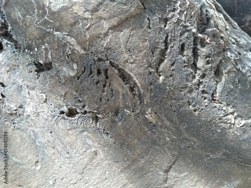 Afloramentos em rochas contendo fendas com veios e vênulas brancas - Caatinga, Nordeste do Brasil