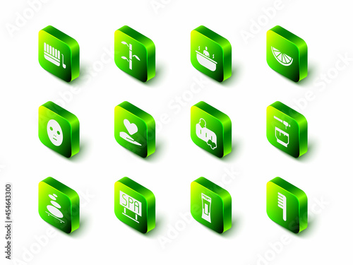 Set Bamboo stems with leaves, Bathtub, Citrus fruit, Honey dipper stick and bowl, Hairbrush, Bar of soap foam, Bottle shampoo and Spa salon signboard icon. Vector