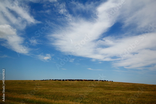Sunny Day with Clouds Over the Great Plains in South Dakota