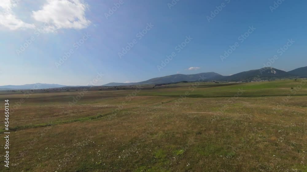 Flying along the green meadow, close to the grass and foliage of the trees Flying along the green meadow, close to the grass and foliage of the trees
