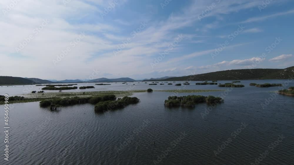 Breathtaking scenery from wildlife. FPV aerial fast flying along the lake, bright blue skies in the background a sunny summer day. Breathtaking scenery from wildlife. FPV aerial fast flying along the lake, bright blue skies in the background a sunny summer day.